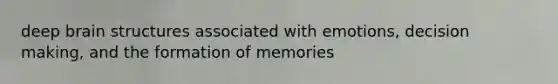 deep brain structures associated with emotions, decision making, and the formation of memories