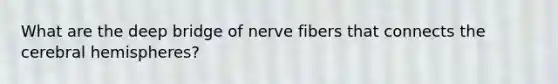 What are the deep bridge of nerve fibers that connects the cerebral hemispheres?