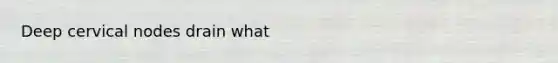 Deep cervical nodes drain what