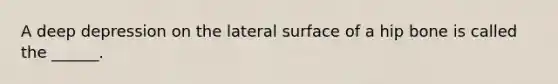 A deep depression on the lateral surface of a hip bone is called the ______.