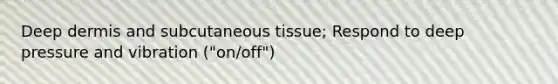 Deep dermis and subcutaneous tissue; Respond to deep pressure and vibration ("on/off")