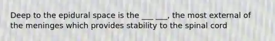 Deep to the epidural space is the ___ ___, the most external of <a href='https://www.questionai.com/knowledge/k36SqhoPCV-the-meninges' class='anchor-knowledge'>the meninges</a> which provides stability to <a href='https://www.questionai.com/knowledge/kkAfzcJHuZ-the-spinal-cord' class='anchor-knowledge'>the spinal cord</a>