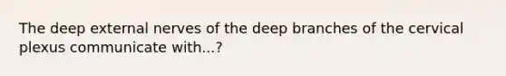 The deep external nerves of the deep branches of the cervical plexus communicate with...?