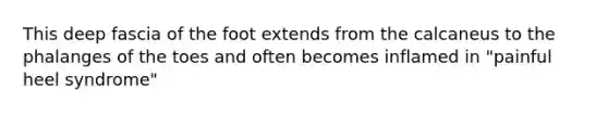 This deep fascia of the foot extends from the calcaneus to the phalanges of the toes and often becomes inflamed in "painful heel syndrome"