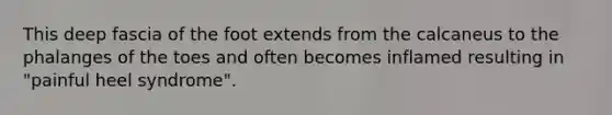 This deep fascia of the foot extends from the calcaneus to the phalanges of the toes and often becomes inflamed resulting in "painful heel syndrome".