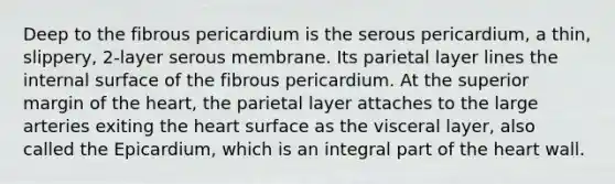 Deep to the fibrous pericardium is the serous pericardium, a thin, slippery, 2-layer serous membrane. Its parietal layer lines the internal surface of the fibrous pericardium. At the superior margin of the heart, the parietal layer attaches to the large arteries exiting the heart surface as the visceral layer, also called the Epicardium, which is an integral part of the heart wall.