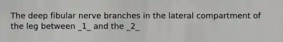 The deep fibular nerve branches in the lateral compartment of the leg between _1_ and the _2_