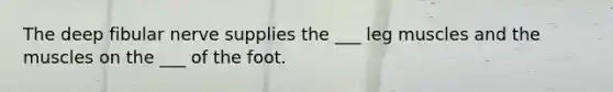 The deep fibular nerve supplies the ___ leg muscles and the muscles on the ___ of the foot.