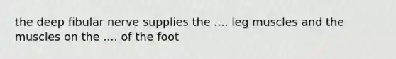 the deep fibular nerve supplies the .... leg muscles and the muscles on the .... of the foot