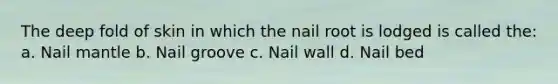 The deep fold of skin in which the nail root is lodged is called the: a. Nail mantle b. Nail groove c. Nail wall d. Nail bed