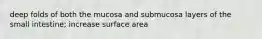 deep folds of both the mucosa and submucosa layers of the small intestine; increase surface area