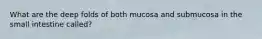 What are the deep folds of both mucosa and submucosa in the small intestine called?