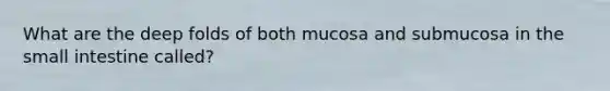 What are the deep folds of both mucosa and submucosa in the small intestine called?