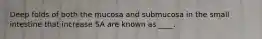 Deep folds of both the mucosa and submucosa in the small intestine that increase SA are known as ____.