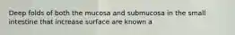 Deep folds of both the mucosa and submucosa in the small intestine that increase surface are known a