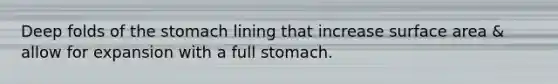 Deep folds of <a href='https://www.questionai.com/knowledge/kLccSGjkt8-the-stomach' class='anchor-knowledge'>the stomach</a> lining that increase <a href='https://www.questionai.com/knowledge/kEtsSAPENL-surface-area' class='anchor-knowledge'>surface area</a> & allow for expansion with a full stomach.