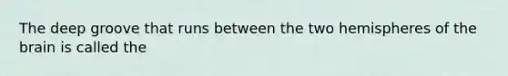 The deep groove that runs between the two hemispheres of the brain is called the