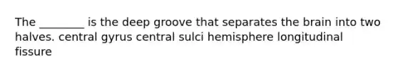 The ________ is the deep groove that separates <a href='https://www.questionai.com/knowledge/kLMtJeqKp6-the-brain' class='anchor-knowledge'>the brain</a> into two halves. central gyrus central sulci hemisphere longitudinal fissure