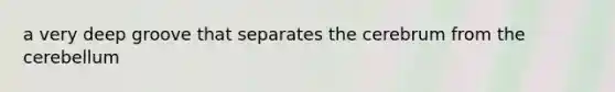 a very deep groove that separates the cerebrum from the cerebellum