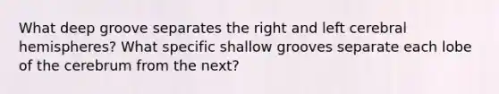 What deep groove separates the right and left cerebral hemispheres? What specific shallow grooves separate each lobe of the cerebrum from the next?