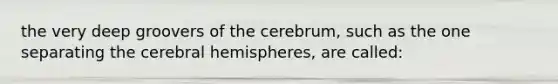 the very deep groovers of the cerebrum, such as the one separating the cerebral hemispheres, are called: