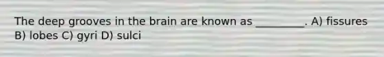 The deep grooves in the brain are known as _________. A) fissures B) lobes C) gyri D) sulci