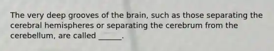 The very deep grooves of the brain, such as those separating the cerebral hemispheres or separating the cerebrum from the cerebellum, are called ______.