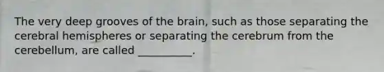 The very deep grooves of the brain, such as those separating the cerebral hemispheres or separating the cerebrum from the cerebellum, are called __________.