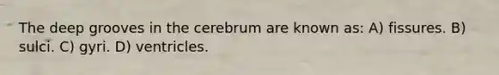 The deep grooves in the cerebrum are known as: A) fissures. B) sulci. C) gyri. D) ventricles.