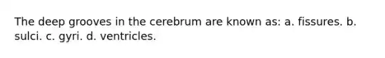 The deep grooves in the cerebrum are known as: a. fissures. b. sulci. c. gyri. d. ventricles.