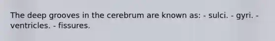 The deep grooves in the cerebrum are known as: - sulci. - gyri. - ventricles. - fissures.