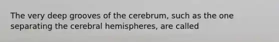 The very deep grooves of the cerebrum, such as the one separating the cerebral hemispheres, are called