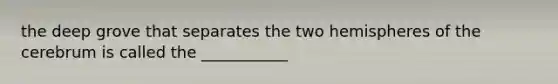 the deep grove that separates the two hemispheres of the cerebrum is called the ___________