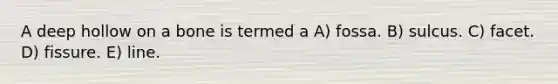 A deep hollow on a bone is termed a A) fossa. B) sulcus. C) facet. D) fissure. E) line.