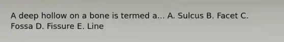 A deep hollow on a bone is termed a... A. Sulcus B. Facet C. Fossa D. Fissure E. Line