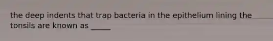 the deep indents that trap bacteria in the epithelium lining the tonsils are known as _____