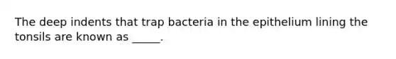 The deep indents that trap bacteria in the epithelium lining the tonsils are known as _____.