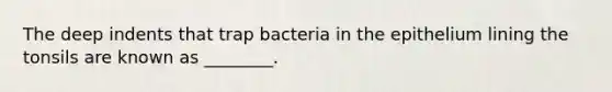 The deep indents that trap bacteria in the epithelium lining the tonsils are known as ________.