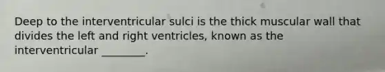 Deep to the interventricular sulci is the thick muscular wall that divides the left and right ventricles, known as the interventricular ________.