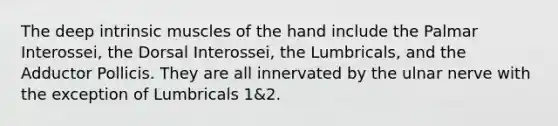 The deep intrinsic muscles of the hand include the Palmar Interossei, the Dorsal Interossei, the Lumbricals, and the Adductor Pollicis. They are all innervated by the ulnar nerve with the exception of Lumbricals 1&2.