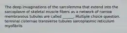 The deep invaginations of the sarcolemma that extend into the sarcoplasm of skeletal muscle fibers as a network of narrow membranous tubules are called ______. Multiple choice question. terminal cisternae transverse tubules sarcoplasmic reticulum myofibrils