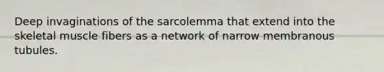 Deep invaginations of the sarcolemma that extend into the skeletal muscle fibers as a network of narrow membranous tubules.