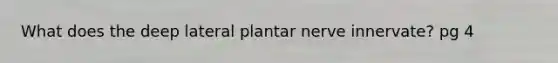 What does the deep lateral plantar nerve innervate? pg 4