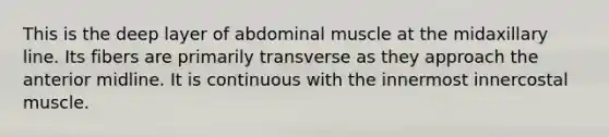 This is the deep layer of abdominal muscle at the midaxillary line. Its fibers are primarily transverse as they approach the anterior midline. It is continuous with the innermost innercostal muscle.