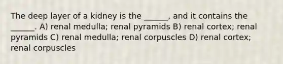 The deep layer of a kidney is the ______, and it contains the ______. A) renal medulla; renal pyramids B) renal cortex; renal pyramids C) renal medulla; renal corpuscles D) renal cortex; renal corpuscles