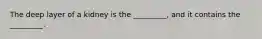 The deep layer of a kidney is the _________, and it contains the _________.