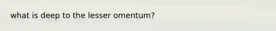 what is deep to the lesser omentum?