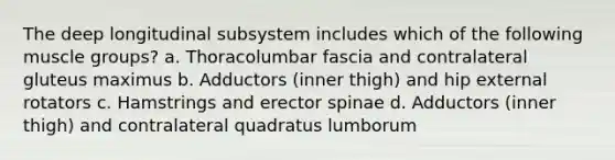 The deep longitudinal subsystem includes which of the following muscle groups? a. Thoracolumbar fascia and contralateral gluteus maximus b. Adductors (inner thigh) and hip external rotators c. Hamstrings and erector spinae d. Adductors (inner thigh) and contralateral quadratus lumborum