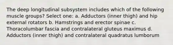 The deep longitudinal subsystem includes which of the following muscle groups? Select one: a. Adductors (inner thigh) and hip external rotators b. Hamstrings and erector spinae c. Thoracolumbar fascia and contralateral gluteus maximus d. Adductors (inner thigh) and contralateral quadratus lumborum