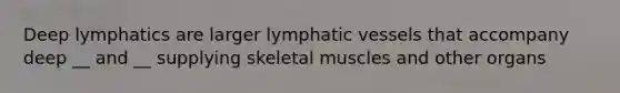 Deep lymphatics are larger lymphatic vessels that accompany deep __ and __ supplying skeletal muscles and other organs